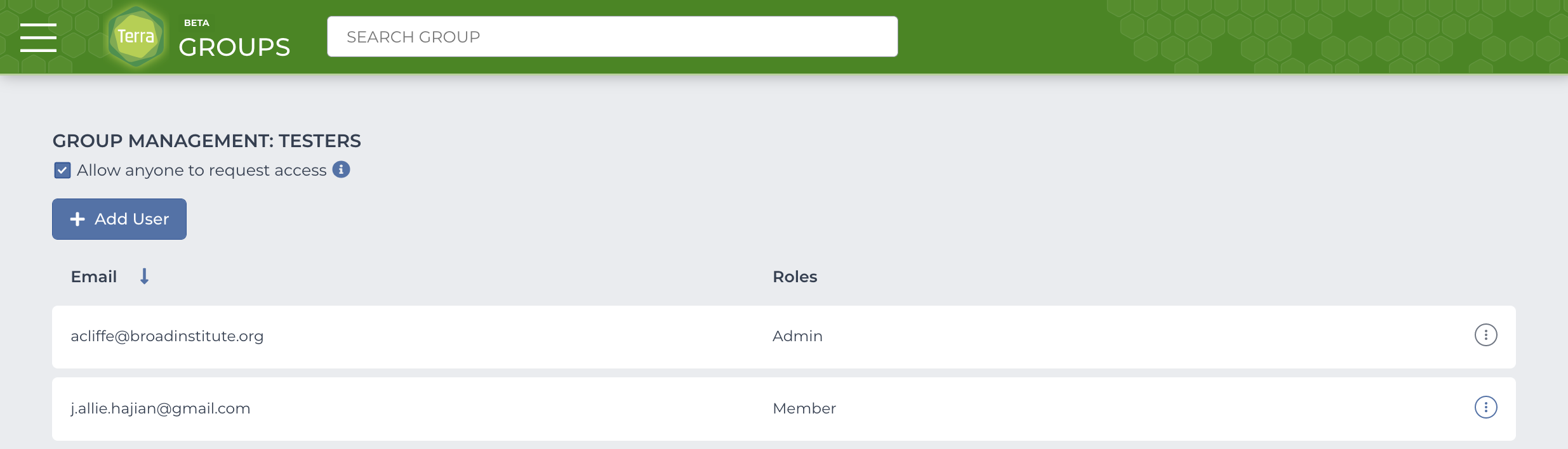 Screenshot of the Group Management page for the group 'testers' with the 'Add user' button at the top and a list of all members of the group and their roles below.