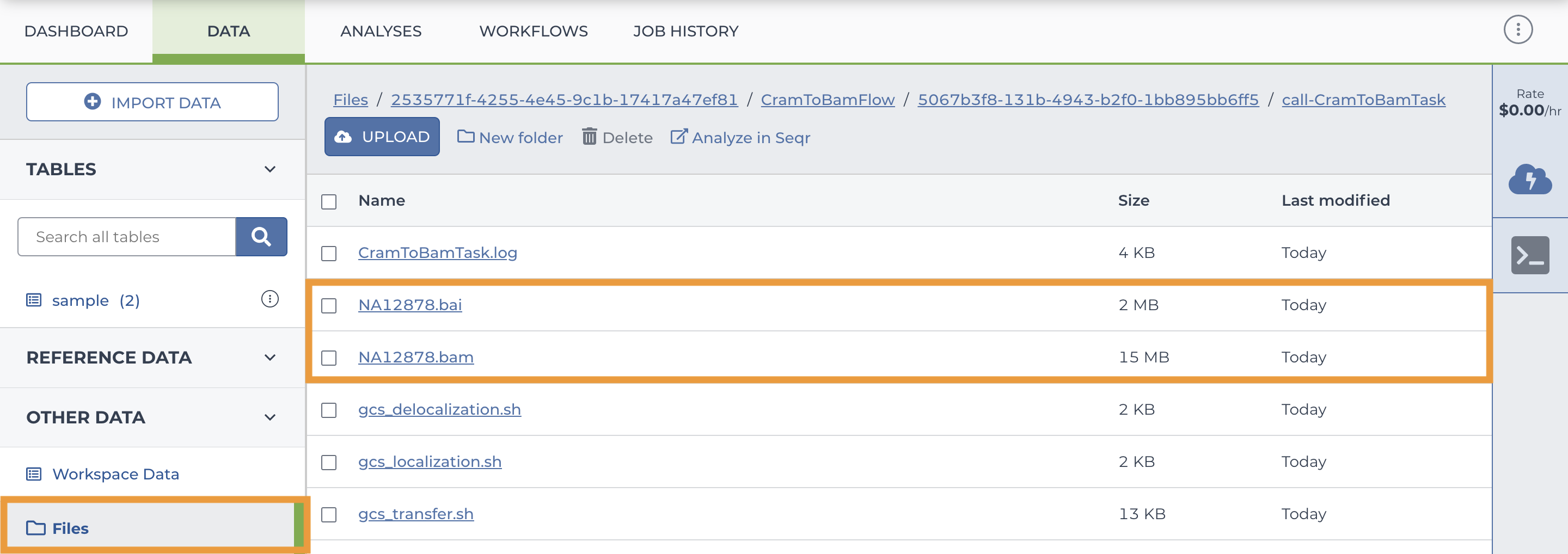 Screenshot of the Files stored in the workspace bucket. The image is annotated with orange boxes highlighting the location of the Files in the Data tab, the BAM file, and the BAM index file.