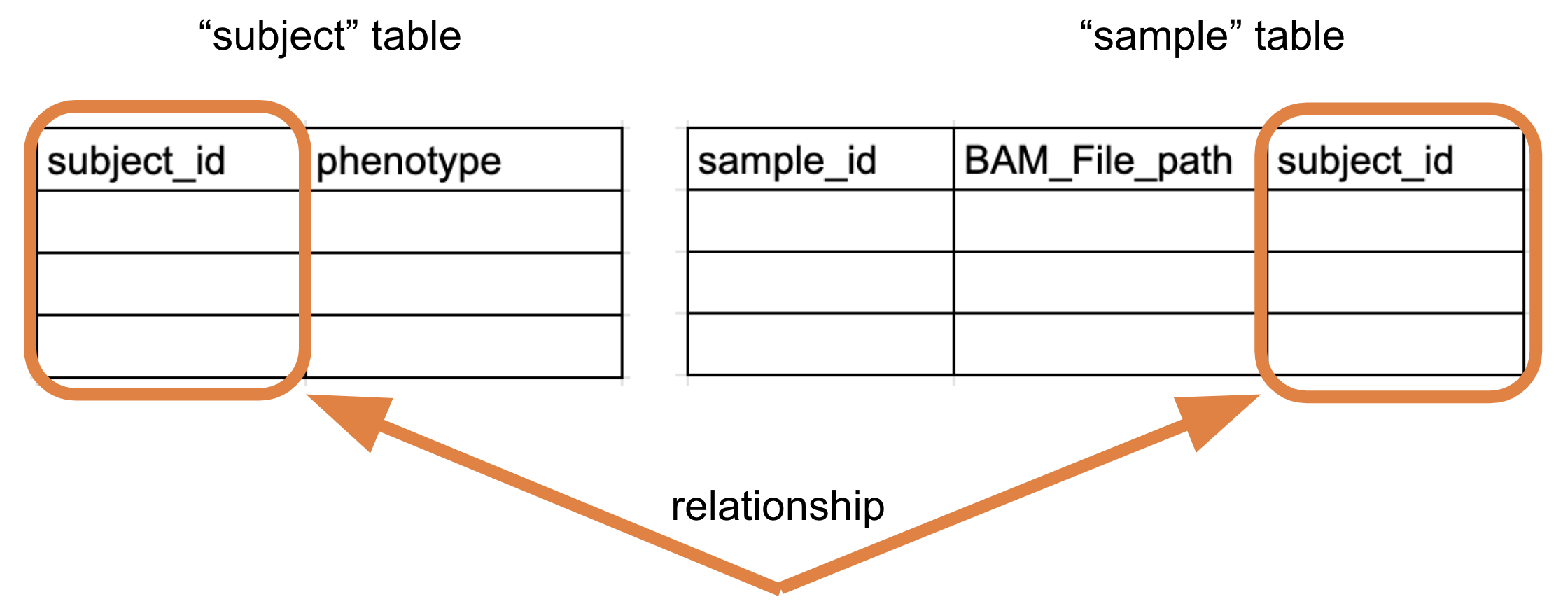 TDR_Relationship-between-subject-table-and-sample-table.png