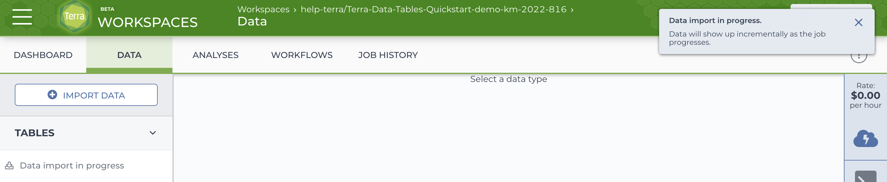 Screenshot of the Data tab of an example workspace with the Data import in progress banner.