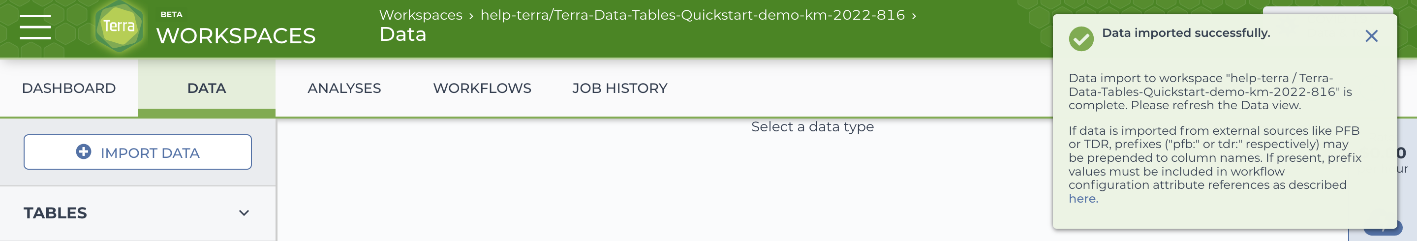Screenshot of the Data tab of an example workspace with the Data imported successfully banner.